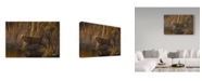 Trademark Global Wilhelm Goebel 'Evening Rounds Sika Deer' Canvas Art - 16" x 24"